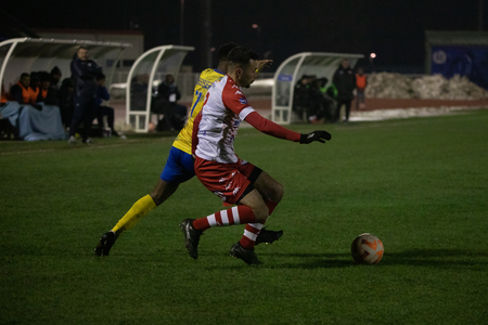 N2-8.jpg